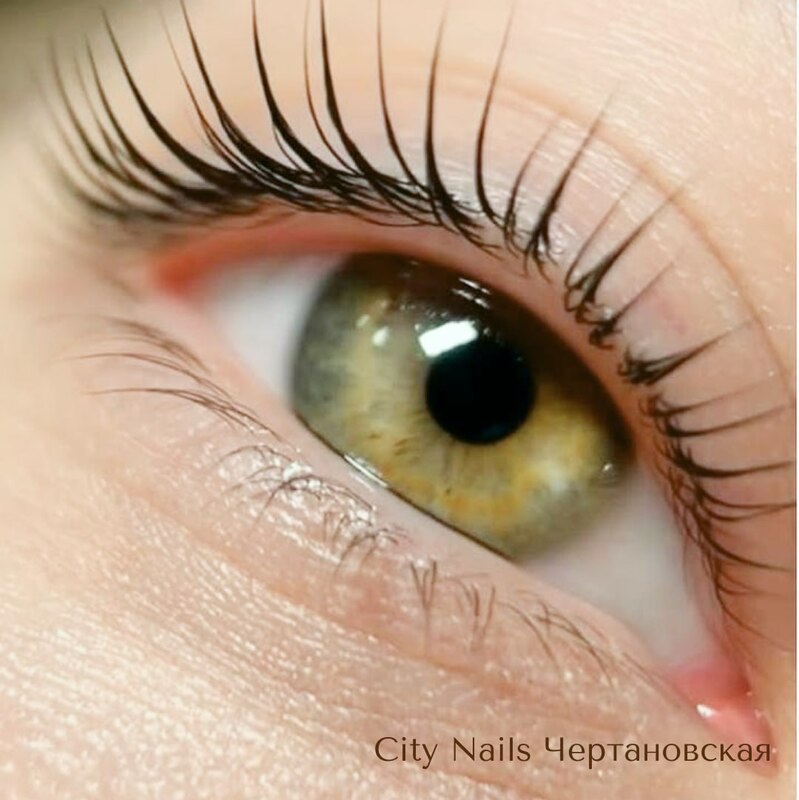 Брови и ресницы