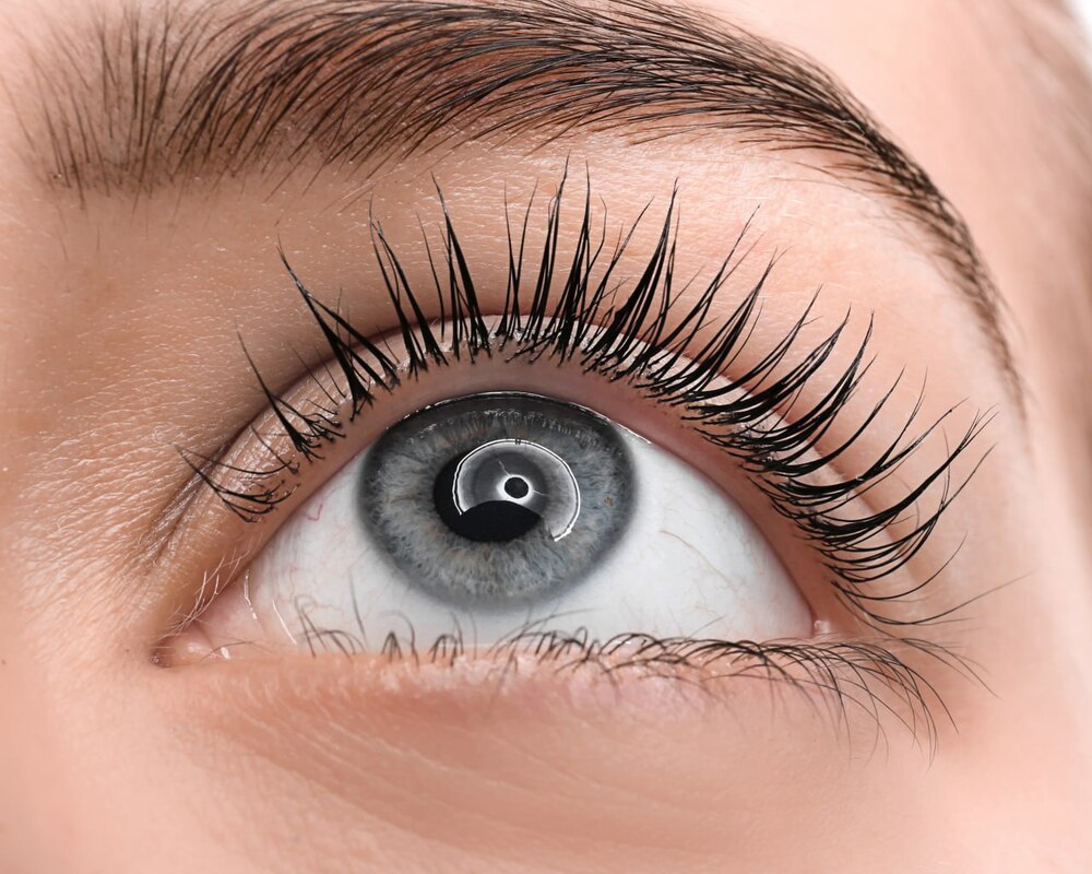 photo-5238157692507983379-y